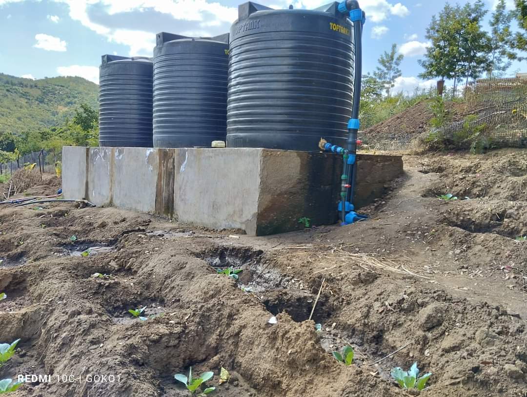 Goko (19)